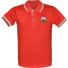 (L) Kids Wales Football Championship Polo Jersey