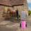 Draagbare Douche voor Paarden - Roze 5