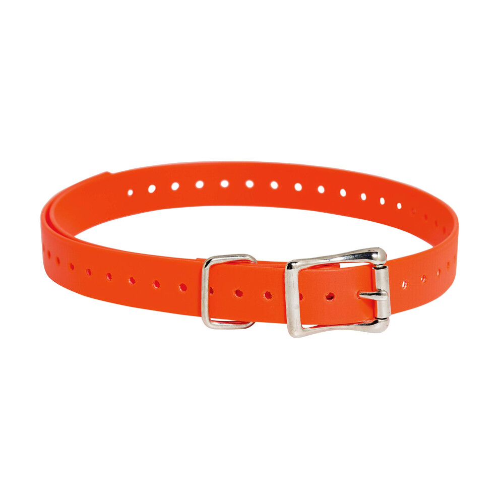 SportDOG Brand 3/4 Inch Collar Strap