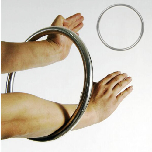 Wing Chun Kung Fu Stainless Steel Training Ring Silver 2