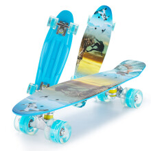 22'' Skateboard with LED Flashing Wheel Small Fish Board Cruiser Streetwalking Skate Board Beginner Kids Boys