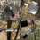 YUANTOOSE Multi-function Camping Shovel Compass Bottle Opener Blade Outdoor Emergency Tools 8