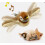 Electronic Interactive Flying Bird Cat Toy Hanging Pet Flapping Wings Sparrow 1