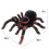 Tarantula Radio Control 3