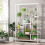 Tribesigns Tribesigns Flower Stand 5 ripiani per piante con 10 ganci a S 1