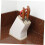 Drain Tool Holder Storage Rack Kitchen Supplies Shelf Multifunction 3