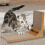 Living And Home Corrugated L-shaped Cat Scratcher with Toys 1