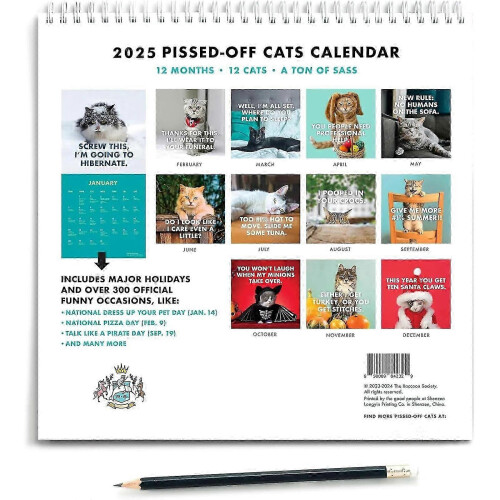 2025 PissedOff Cats Calendar Angry Cats 2025 Calendar on OnBuy