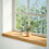 VidaXL (light brown, 80 x 30 x 2 cm) vidaXL Window Sills Window Ledge Window Board 2 pcsÂ Untreated Solid Wood Oak 2