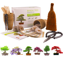 Bonsai Tree KIT - Grow Your OWN Bonsai Trees from Seeds - Gardening Gift Set - Premium Quality KIT - Big Value Pack, Seed Germination Starter Kit with