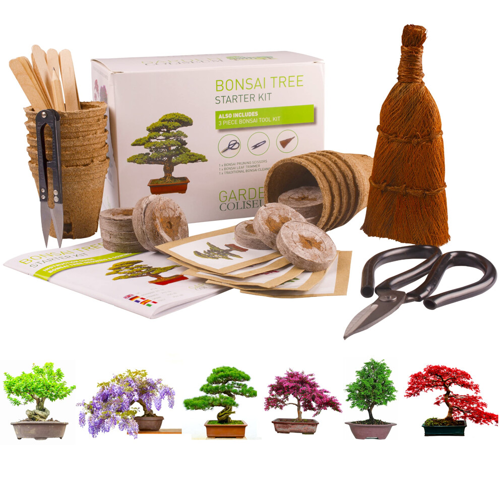 Bonsai Tree KIT - Grow Your OWN Bonsai Trees From Seeds - Gardening Gift Set - Premium Quality KIT - Big Value Pack, Seed Germination Starter Kit With