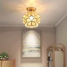 (Golden) Scandinavian-Inspired Modern Ceiling Light with Frosted Petal Design
