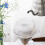 Hario V60 Drip-Assist  Size 02  Clear 5
