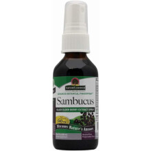 Nature's Answer, Sambucus, Schwarzer Holunder-Extrakt-Spray, Alkoholfrei, 2 fl oz (60 ml)