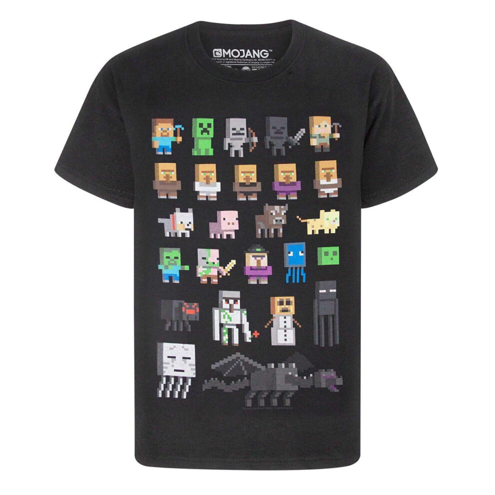 Minecraft T-Shirt Boys Sprites Gamer Gifts Black Short Sleeve Top 11-12 Years