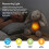 Cloud b Cloud bLove Light Buddies - Veilleuse Billy Bunny avec Melody, Bunny, 0m+. 2