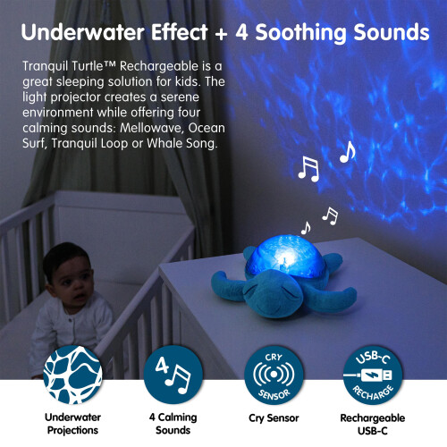 Cloud b Cloud b - Veilleuse Tranquil Turtle Aqua rechargeable - BTL DIFFUSION 1