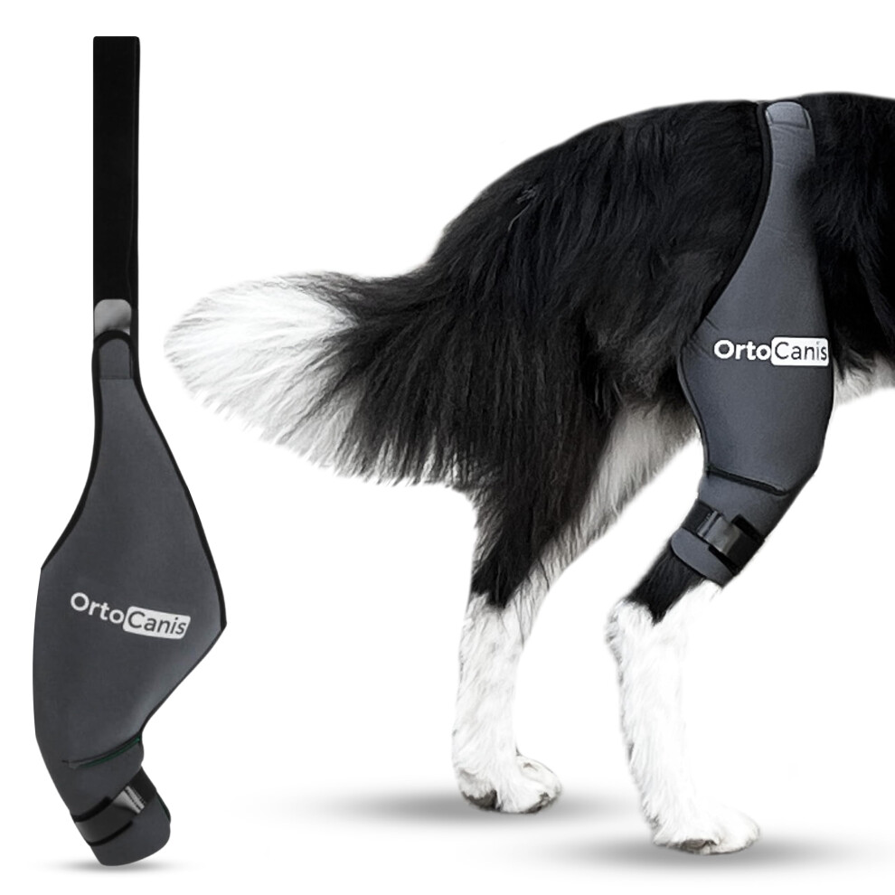 Ortocanis Dog Knee Brace For Torn Acl Hind Leg Cruciate Ligament Injuries Patella Dislocation Or Osteoarthritis - Dog Acl Knee Brace - Dog Braces Fo