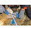 PFERD 17301 Saw Sharpener Chain Sharp CS-X  File 3/16 inch  Blue 3