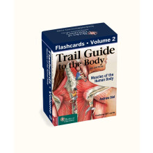 Trail Guide to the Body Flashcards Vol 2: Muscles of the Body