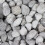 Seachem Matrix, 4 L / 1 gallone 2