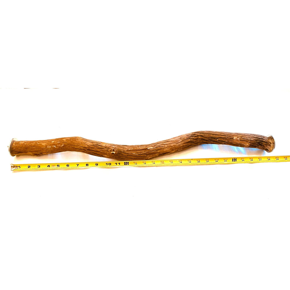 Polly's Full Length Hardwood Bird Perch  28-Inch