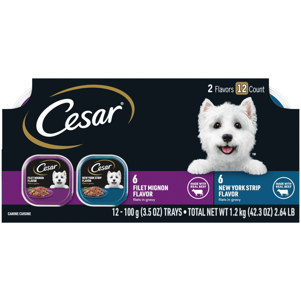 CESAR Filets in Gravy Adult Wet Dog Food Variety Pack  Filet Mignon and New York Strip Flavors  3.5 oz Trays  12 Count