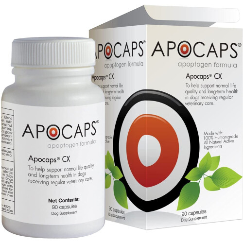 Apocaps CX Apoptogen Formula for Dogs  90 Count (Pack of 1) 1