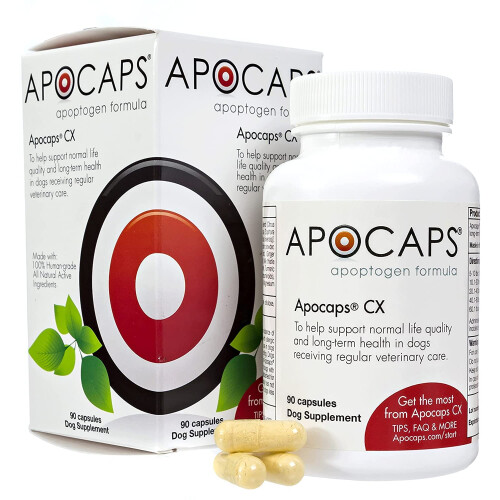 Apocaps CX Apoptogen Formula for Dogs  90 Count (Pack of 1)