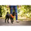 Curli Basic Harness Air-Mesh Dog Harness Pet Vest Adjustable Step-in Light Harness SkyBlue M 3