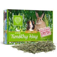 Small Pet Select 1st Cut Timothy Hay Pet Food for Rabbits  Guinea Pigs  and Other Small Animals  Easy to Store Box  10 LB