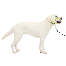 PetSafe Gentle Leader No-Pull Dog Headcollar - The Ultimate Solution to Pulling - Redirects Your Dog's Pulling For Easier Walks - Helps You Regain Con