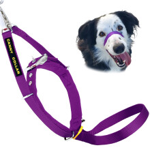Canny Collar No-Pull Dog Collar - The Kind  Gentle Head Collar for Dogs| Dog Training Tool for Easier Dog Walking | Purple - Size 3