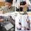 Timer For Kids - Magnetic 60-minute Visual Timer For Classroom, Cooking, Reading, Gym, And More (squirrel, 2 Pack) 4