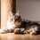 Interaktives Plüschtier für Hunde und Katzen (Vogelbraun) 4