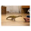 Schleich Schleich Dinosaurs Diplodocus 2