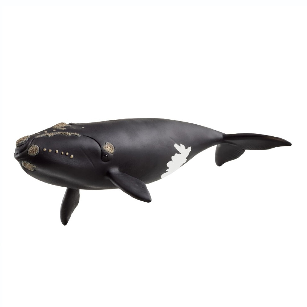 Schleich Wild Life North Atlantic Right Whale