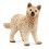 Schleich Schleich Wild Life Arctic Wolf Cub 1