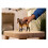Schleich Schleich Farm Life Mule 2