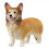 Schleich Schleich Farm Life Welsh Corgi 1