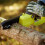Ryobi Ryobi ONE+ 15cm Pruning Saw (Tool Only) 18v RY18PS15A-0 4
