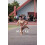 Marae 1