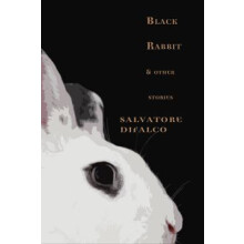 Black Rabbit