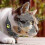 (Yellow, one size) Smart Gps Cat And Dog Collar Tracker 1