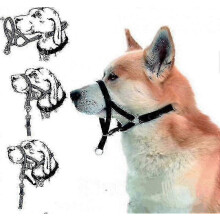(red, m) Halti Head Collar Dog Training Obedience Stop Pulling On Lead No Pull Solution