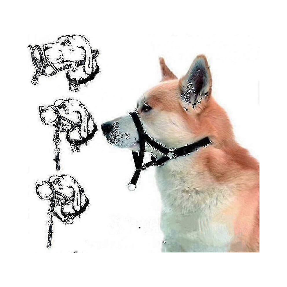 (red, xl) Halti Head Collar Dog Training Obedience Stop Pulling On Lead No Pull Solution-image-OPC-PFWMJ9H-NEW