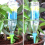 Adjustable dripper automatic watering kit Green 5
