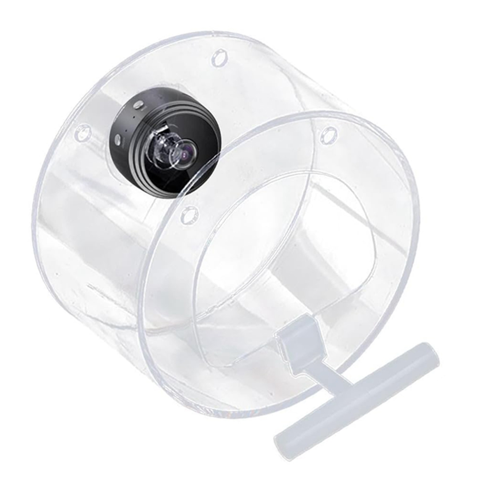 Smart bird feeder with camera
