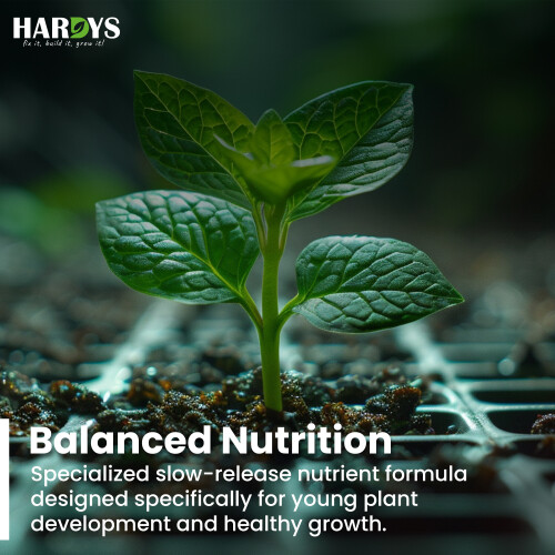 Young Plant Seedlings & Cutting Compost Out/Indoor 2