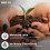 Young Plant Seedlings & Cutting Compost Out/Indoor 4